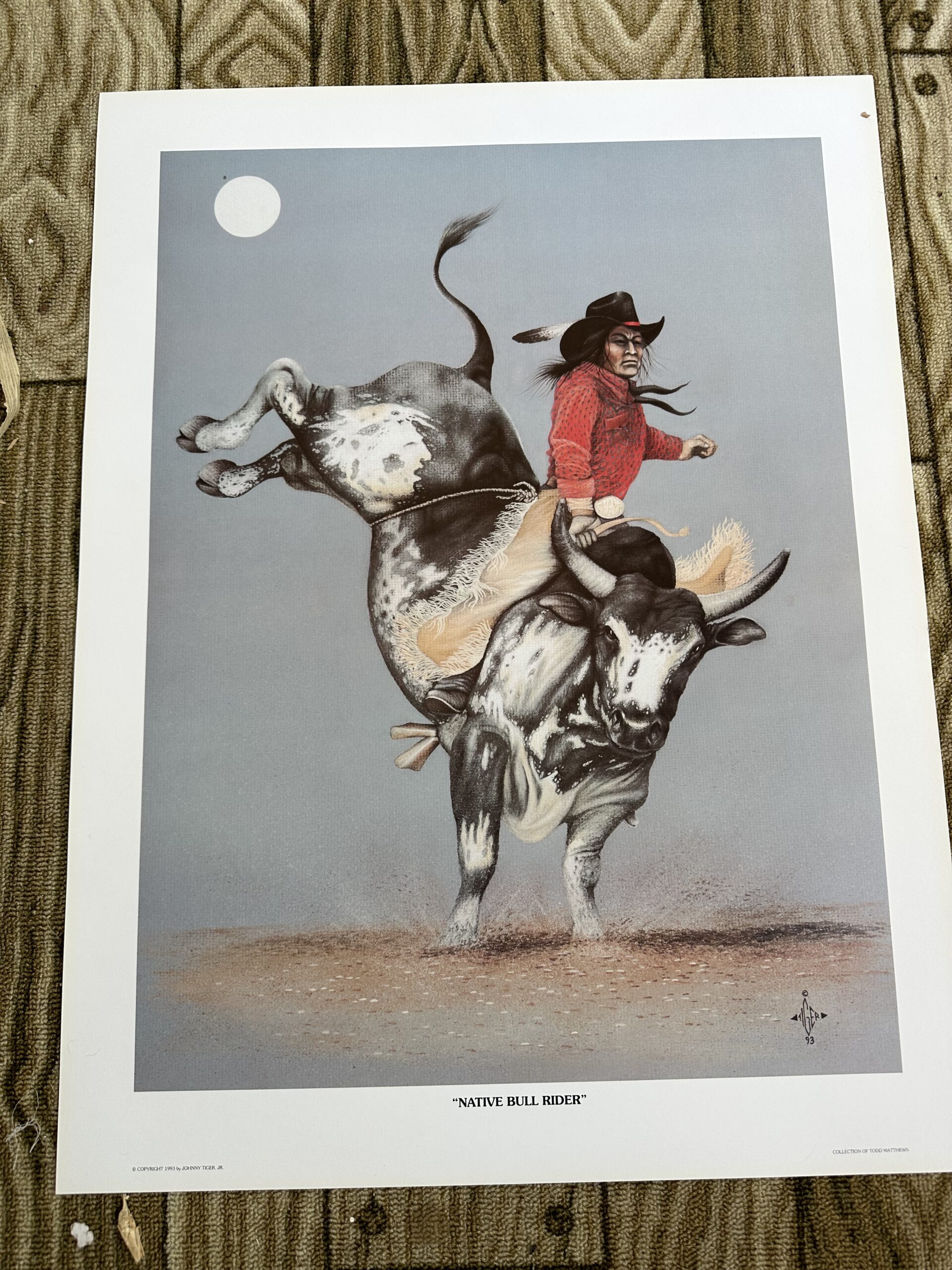 Native Bull Rider
